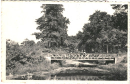 CPSM Carte Postale Belgique Rijmenam Pont Hollaeken   VM75370 - Bonheiden