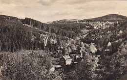 AK 189490 GERMANY - Kipsdorf Mit Bärenfels - Kipsdorf