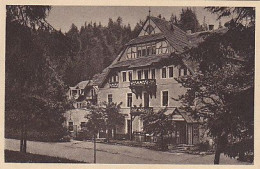 AK 189494 GERMANY - Kipsdorf - Waldbärenburg - Das Erzgebirgs-Heim - Kipsdorf