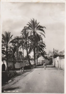 CARTOLINA LIBIA COLONIE ITALIANE -1940 PM54 (ZP161 - Libia