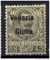 Venezia Giulia 1918 Sass.26 */MH VF/F - Venezia Julia