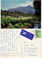 SOUTH AFRICA 1971  POSTCARD SENT TO MARKTREDWITZ - Cartas & Documentos