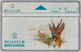 PHONE CARD - BELGIO (H.7.6 - Sans Puce