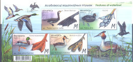 2023. Belarus, Fauna Of Belarus, Birds, Features Of Waterfowl, S/s, Mint/** - Belarus
