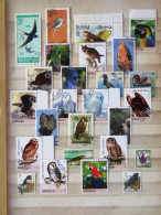 Birds Raptors Owls Owl - Collections, Lots & Series