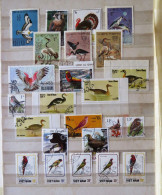 Birds Turkey Ducks Geese - Collections, Lots & Series