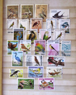 Birds - Collections, Lots & Series