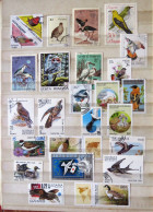 Birds Owl - Collections, Lots & Series