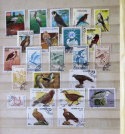 Birds Rumania Azerbayjan - Collections, Lots & Series