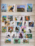 Birds Parrots Raptors - Collections, Lots & Series