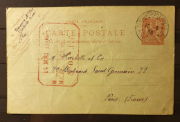 12 - 23 / Levant - Entier Postale De Constantinople à Destination De Paris - France - Used Stamps