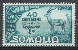 Somalia AFIS 1950 Sass.Ex1 **/MNH VF - Somalië (AFIS)