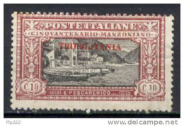 Tripolitania 1924 Sass.11 */MH VF - Tripolitaine