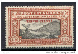 Tripolitania 1924 Sass.14 */MH VF - Tripolitania