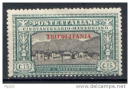 Tripolitania 1924 Sass.12 */MH VF - Tripolitaine