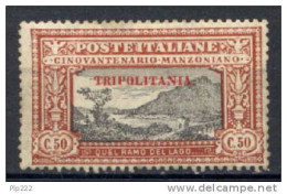 Tripolitania 1924 Sass.14 */MH VF - Tripolitania