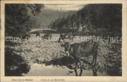 42396191 Altenbrak Harz Kuehe Bodebruecke Altenbrak - Altenbrak