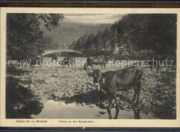 42395149 Altenbrak Harz Bodetal Partie Bodebruecke Altenbrak - Altenbrak