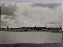 1956 Photo New Zealand AUCKLAND - Oceania