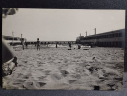 1956 Photo Australia MELBOURNE Beach - Ozeanien