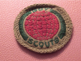 Scoutisme Canada/ Ecusson  Tissu/ Insigne De Mérite/ Mappemonde ?  /année 1940-1960                  ET587 - Scoutisme