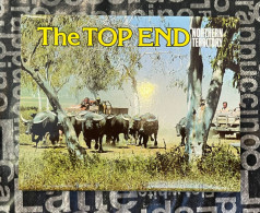 (Booklet 26-12-2023) Postcard Booklet - NT - The Top End (Buffalo Farming) - Non Classificati