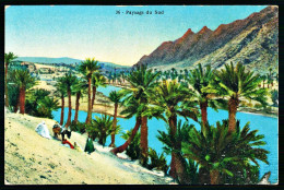 A65  MAROC CPA  PAYSAGE DU SUD - Sammlungen & Sammellose