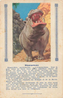HIPPOPOTAME - ANIMAL - CARTE ILLUSTREE (9x14cm) Offerte Aux Enfants Sages Par TEINTURE L'EXPRESS - Flusspferde