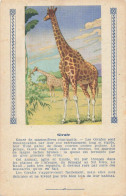 GIRAFE - ANIMAL - CARTE ILLUSTREE (9x14cm) Offerte Aux Enfants Sages Par TEINTURE L'EXPRESS - Ippopotami