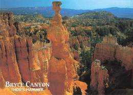 CPSM Bryce Canyon National Park-Beau Timbre      L2463 - Bryce Canyon