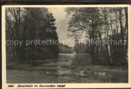 42380143 Tharandt Seerenteich Tharandter Wald Handabzug Tharandt - Tharandt