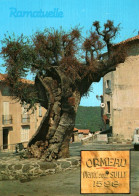 CPM - RAMATUELLE - Ormeau Planté Sous SULLY 1598 ... Edition Aris - Arbres