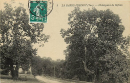 83 , LA GARDE FREINET , Chataigniers Du Refrain , * 239 20 - La Garde Freinet