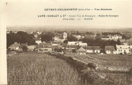 21 , GEVREY CHAMBERTIN , Grands Vins De Bourgone , Pub Lupé Cholet , * 263 07 - Gevrey Chambertin