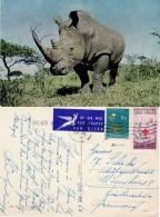 SOUTH AFRICA 1963  POSTCARD SENT TO MUENCHEN - Storia Postale