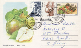 SOUTH AFRICA 1984  POSTCARD SENT TO FLENSBURG - Lettres & Documents