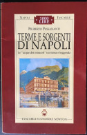 NAPOLI Tascabile….” Terme E Sorgenti Di Napoli ”  Nr. 47…Editore….NEWTON.....Edizione 1996 - Bibliografie