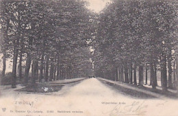 482819Zwolle, Wipstrikker Allée. (poststempel 1905)(kleine Beschadiging Linksonder) - Zwolle
