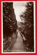 LLANDUDNO    INVALIDS WALK    RP   Pu 1931 - Caernarvonshire