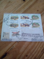 Argentina Reg Letter To Portugal.yv 1366/9.anteater.jaguar.wild Dog.*2 Set 1337 Hv Flower*2.vc E20.e7 Reg Post Conmem . - Cartas & Documentos