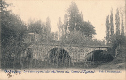 ZOTTEGEM  LE VIEUX PONT DU CHATEAU DU COMTE D'EGMONT      2 SCANS - Zottegem