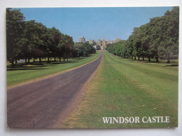 WINDSOR CASTLE THE LONG WALK - Windsor