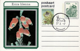 SOUTH AFRICA 1977 COMMEMORATIVE CARD - Briefe U. Dokumente