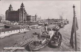 UK - Liverpool - Superb RPPC Of The Pier Head With Ships & Featuring Several Tugboats - Sleepboten