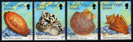 1999 Isole Vergini Inglesi, Conchiglie Coquillages, Serie Completa Nuova (**) - British Virgin Islands