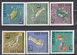 Vietnam Nord 1965 - Marine Fauna, Mi-Nr. 387/92, Imperforated, MNH** - Viêt-Nam