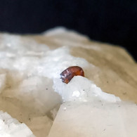 #S25 - RARA SPHALERITE Cristalli Su Marmo (La Facciata Quarry, Torano, Carrara, Toscana, Italia) - Minéraux