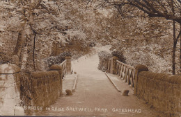 United Kingdom PPC The Bridge In Dene Saltwell Park Gateshead Brücke Pont GATESHEAD 1910 CHARLOTTENLUND Echte Real Photo - Autres & Non Classés