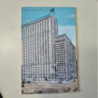 Uncirculated Postcard - THE WHITEHALL BUILDING, NEW YORK - Altri Monumenti, Edifici
