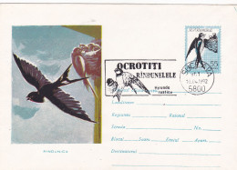 SWALLOWS, SPECIAL  PMK , COVERS STATIONERY 1961 RARE!, ROMANIA - Hirondelles